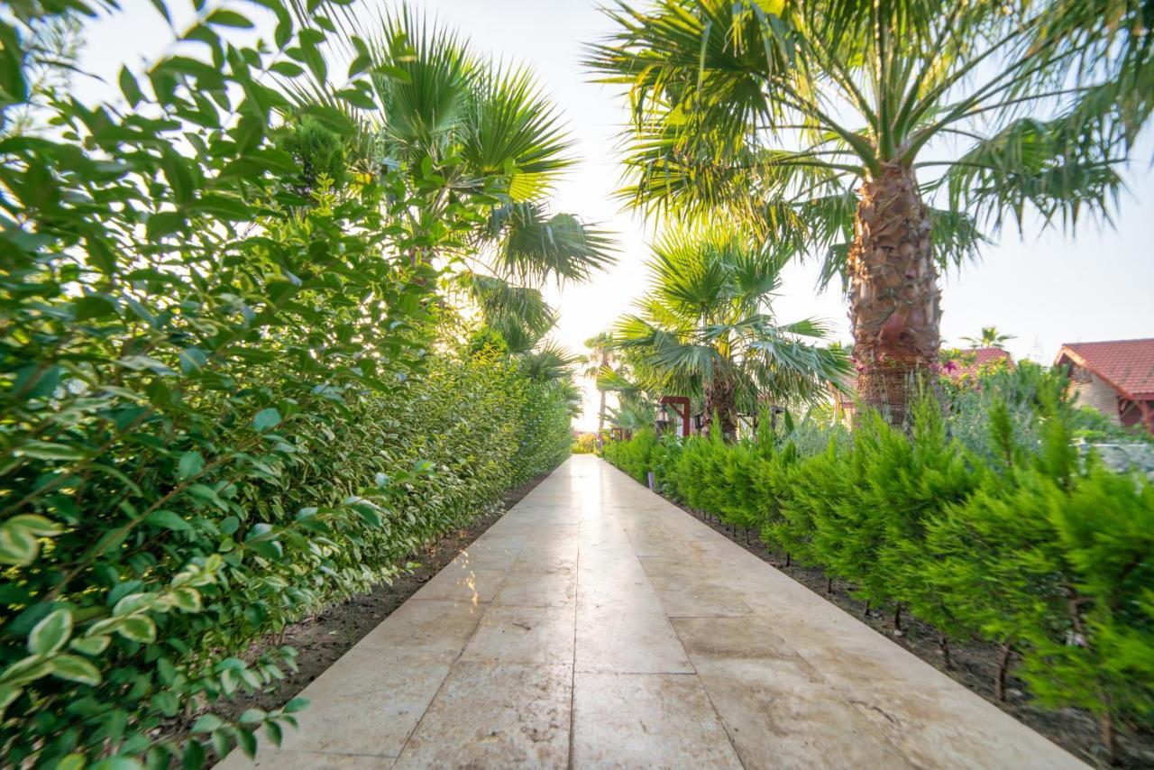 Nerissa Hotel Чирали Экстерьер фото